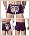 Sexy Tide Men's Sexy Funny 3D Cartoon Wolf Head Animal Print Boxer Briefs Novelty Underpants Flexible Stretch Underwear