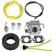 Hipa WT-827 Carburetor with Air Filter Fuel Filter Tune-Up Kit for MTD Bolens BL100 BL150 BL250 BL410 Yard Man Machines YM70SS 120R 121R 2800m Y28 Y725 YM1000 YM1500 YM320BV YM400 Weedeater