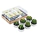 DeDeSoon Cactus Tealight Candles, Handmade Delicate Succulent Cactus Candles for Birthday Party Wedding Spa Home Decoration, 6 Pcs in Pack.