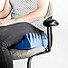 Hermell Convoluted Wheelchair Cushion, Blue Egg Crate Foam, No Cover - 3 Inches Thick