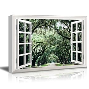 Window Peering into a Road with Green Trees Overhead