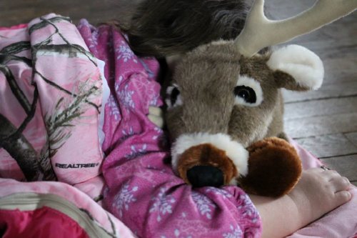 Realtree Camo Sleeping Slumber Bag Plush Deer Pillow Pet Child