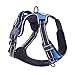 PoyPet No Pull Dog Harness, Reflective Vest Harness with Front & Back 2 Leash Attachments and Easy Control Handle for Small Medium Large Dog (Blue,Medium)