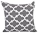 Accent Home Cotton Canvas Throw Cushion Cover Printed Both Side For Home Sofa Couch, Chair Back Seat,4pc pack 18x18