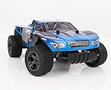 RC Cars, All Terrain Remote Control High-Speed Telecar, Offroad 2.4Ghz 2WD Remote Control Monster Truck, Best Christmas Gift for Kids and Adults(Blue truck)
