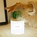 USB Cool Mist Humidifier with Night Light Mini Size Cactus Humidifier for Bedroom Home Room Office Car 280ml 50ml/h with Timed auto shutdown