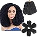 3pcs/Pack 10'' Afro Kinky Twist Hair Crochet Braids Ombre Purple Braiding Hair Synthetic Marlybob Curly Crochet Hair Pieces (T1B/PUR)
