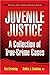 Juvenile Justice: A Collection of True-Crime Cases
