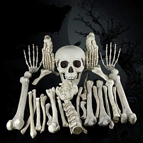 THEE Halloween Scary Skull Bone Life Size Realistic Party Human Skeleton Decor (28pcs of bone)
