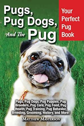 pug dog price in amazon