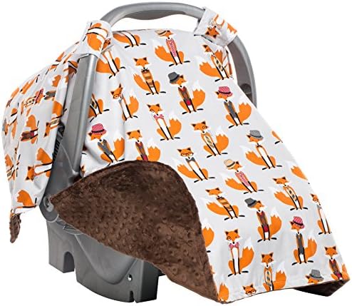 Elonka Nichole Infant Carseat Canopy, Boy