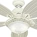 Hunter Indoor Ceiling Fan with light and pull chain control - Caribbean Breeze 54 inch, White, 54094