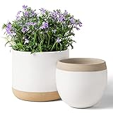 White Ceramic Flower Plant Pots - 6.5 + 4.9 Inch
