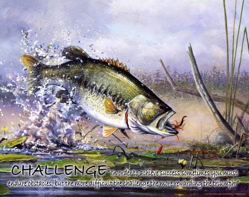 Amazon Com Fishing Motivational Poster Art Print Large Mouth Bass