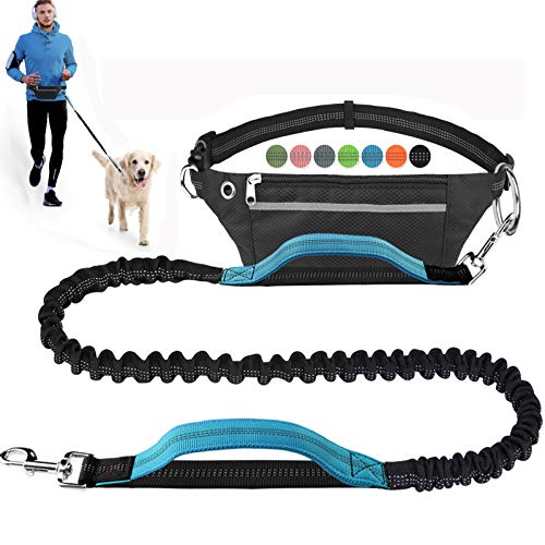 runner leash
