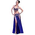 ROYAL SMEELA Belly Dance Costume Set for Women Professional Belly Dance Bra and Belt Belly Dancing Skirt Slit Carnival Outfit