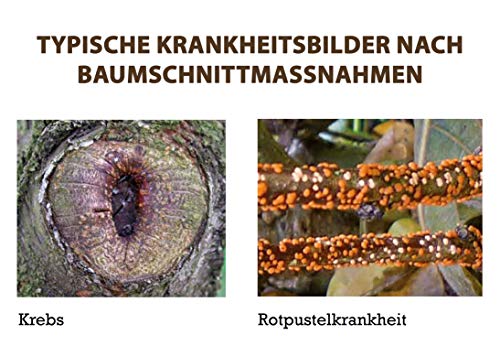 Substral Naturen Bio Wundbalsam, Wundverschlussmittel , das elastische Baumpflaster nach dem Baumschnitt, 150 g – Bild 4