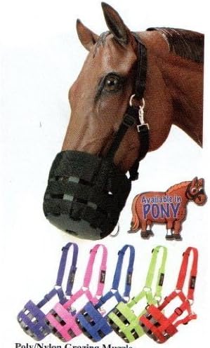 Kathys Show Tack Hot colors Padded Grazing Muzzle with Halter