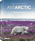 Antarctic: A Tribute to Life in the Polar Regions by