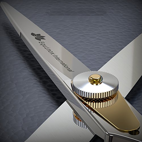 Equinox-Professional-Razor-Edge-Series-Hair-Cutting-and-ThinningTexturizing-ScissorsShears-Set-65-Overall-Length-with-Fine-Adjustment-Tension-Screw-Japanese-Stainless-Steel