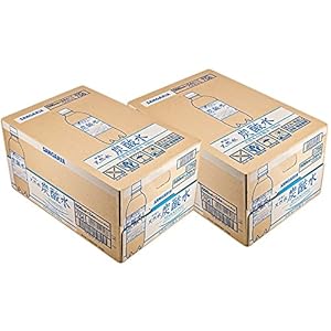 [2CS] サンガリア 伊賀の天然水 炭酸水( 500ml×24本)×2箱