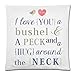 Romantic Love Quotes I Love You a Bushel and a Peck and a Hug Around the Neck Cushion Case - Square Pillowcase Cushion Case Throw Pillow Cover with Invisible Zipper Closure - 18x18 inches, One-sided Print