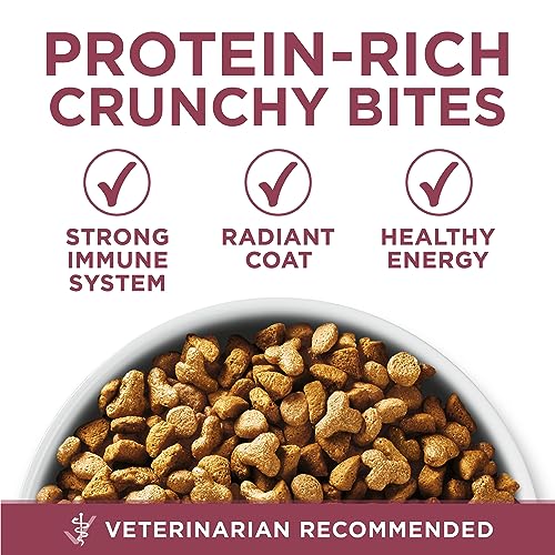 Purina ONE +Plus Senior Dry Cat Food, Chicken - 1.8 kg Bag