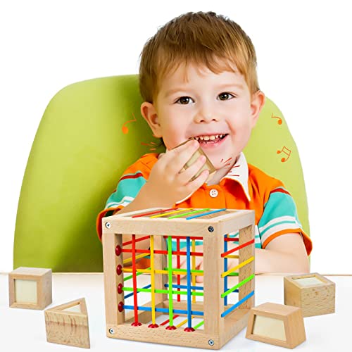 Carrousel Montessori Toys for 1 2 3 4 Year Old, Toddler Toys for 1 Year