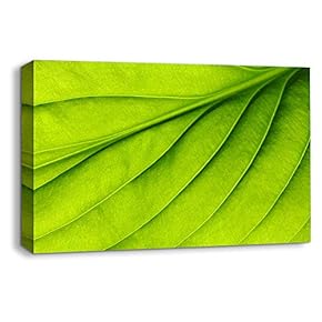 Canvas Wall Art Leaf Veins Pictures Home Wall Decorations for Bedroom Living Room Paintings Canvas Prints Framed - 12x18 inches
