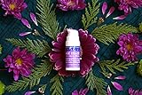 Organic Collagen Cream Age Erase Queen Bee Skin Care Vegan sourced from wildflowers