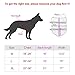 JASGOOD Tactical Dog Vest Harness Handle Training Dog Vest with Detachable Molle Pouches,M,2 Camo