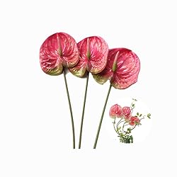 DODXIAOBEUL 3 PCS 27" Artificial Anthurium Lily