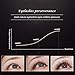 Garyob Eyebrow Eyelash Enhancing Growth Serum 6ml /0.2 fl. oz