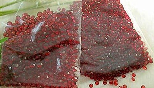 Vase Fillers Wedding Favour Party decoration 10000 pieces (Brown Color)