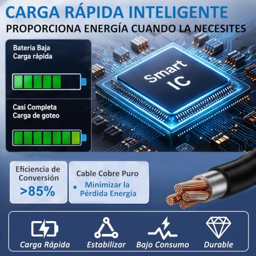 TRYXZSZ Cargador y Adaptadores para Portátil 65W 19V 3.42A, Compatible ASUS/HP/DELL/Acer Portátil, con 3 Convertidores, para ASUS Vivobook 17 X1704/16 X1605 M1605/15 X1502 X1504 X1505/14 X1405 X1404