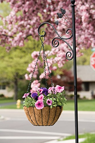 Panacea 88500 Growers Series Hanging Basket, Green, 12-Inch