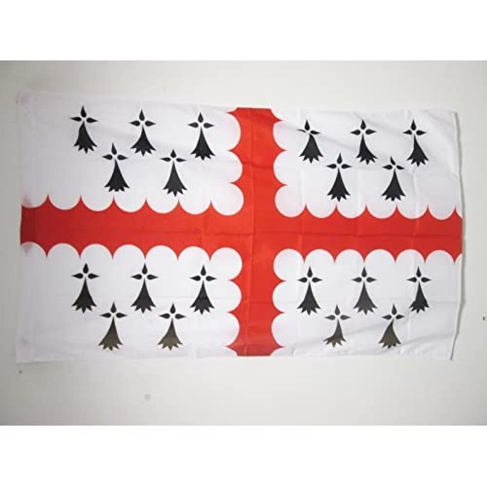 AZ FLAG - Count of Vannes Flag - 2x3 Ft - County of Vannes Banner with Sleeve - 100% Polyester - Fade Resistant - Vivid Colors - 2' x 3' Feet - 90x60 Cm
