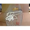 Maryland-Blue-crab-pot-trap-Chesapeake-Atlantic-blue-crab-Heavy-Duty Maryland-Blue-crab-pot-trap-Chesapeake-Atlantic-blue-crab-Heavy-Duty