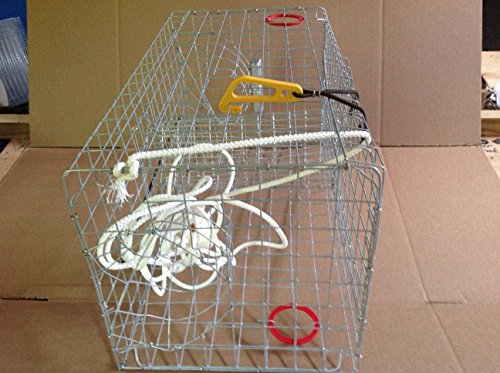 Maryland-Blue-crab-pot-trap-Chesapeake-Atlantic-blue-crab-Heavy-Duty Maryland-Blue-crab-pot-trap-Chesapeake-Atlantic-blue-crab-Heavy-Duty