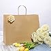 Road 16x6x12 inches Large Kraft Brown Paper Bags with Handles, Shopping, Grocery, Mechandise, Party Bags (50)