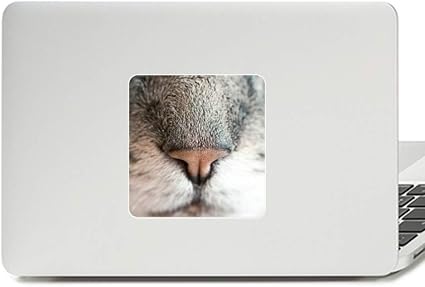 Amazon Co Jp 動物 現地 写真 デカール ビニール パスター ノートパソコン ステッカー Pcデコレーション ホーム キッチン