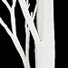 Bolylight Birch Tree 6ft 96L LED Lighted Brich Tree for Christmas Decorations for Home Bedroom Party Wedding Office Indoor and Outdoor Warm White