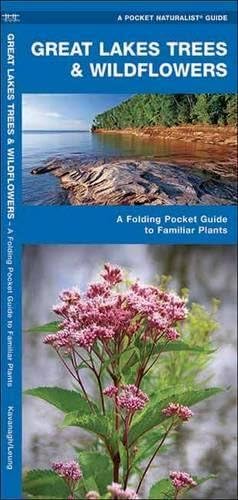 Great Lakes Trees & Wildflowers: A Folding Pocket Guide to Familiar Plants (Wildlife and Nature Identification)