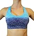 Vesi Star Women's Flexible Exercise Pants (Large, Blue)