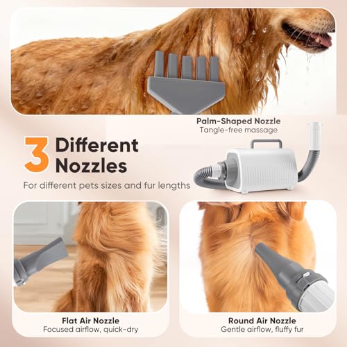 Asciugacapelli per Cani, Potente soffiatore per cani con Velocità e Temperatura Regolabili, 3 Ugelli, Tubo Flessibile, Schermo LCD, Asciugatore per Cani e Gatti di Tutte le Taglie