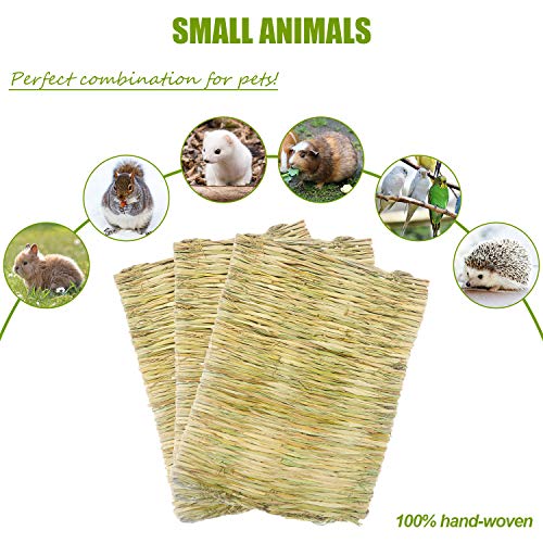 5 Pack Grass Mat Woven Bed Mat, Small Animal Natural Straw Bedding Nest Mat Chew Toys Bed Play Toy for Guinea Pig Parrot Rabbit Bunny Hamster Rat (3 Large 2 Small)