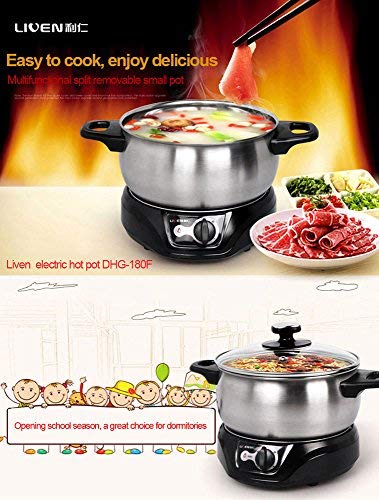 4 LIVEN+Electric+Stainless+Steel+DHG+200F