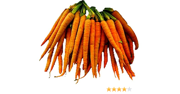 Amazon Com Carrot Imperator 58 Seeds Bulk Heirloom Danver 81c 19 2k Seeds Or 1 Oz Patio Lawn Garden