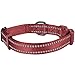 Blueberry Pet Essentials Safe & Comfy 3M Reflective Adjustable Dog Collar - Marsala Red, Medium, Neck 14.5