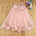 1-6T Kids Girls Mesh Tulle Skirt Dress for Birthday Flower Girl Special Occasion Light Pink